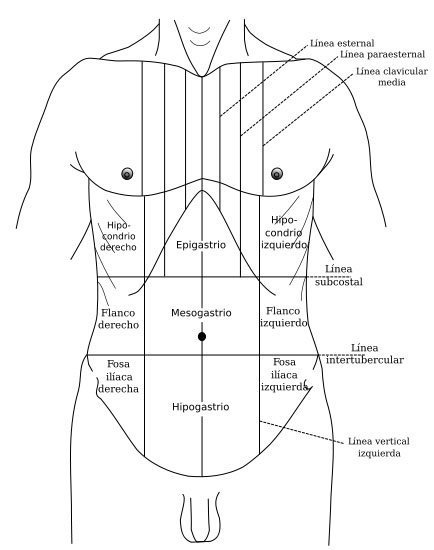 regiones topográficas del abdomen abdomen